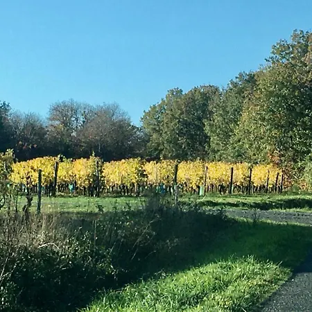 La Maison Haute 4* Tigné