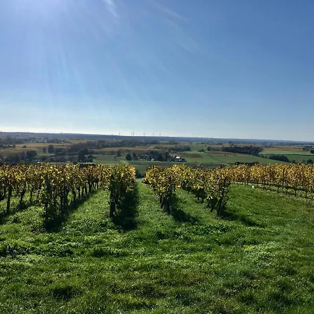 La Maison Haute Tigné