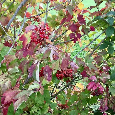 La Maison Haute 4* Tigné