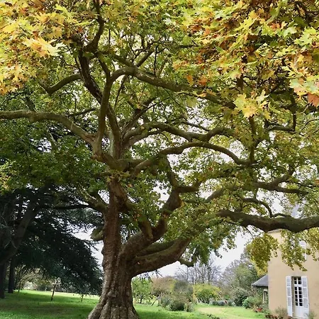 Bed & Breakfast La Maison Haute Tigné