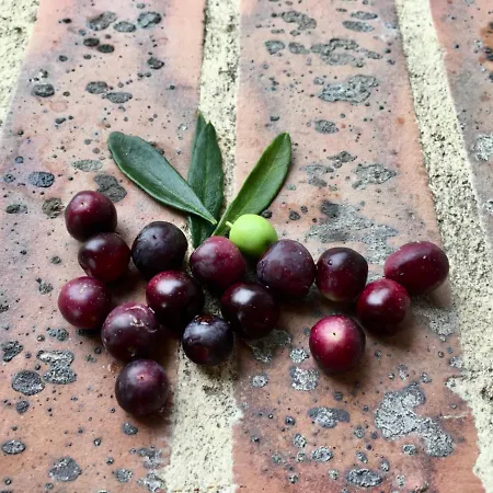 Bed & Breakfast La Maison Haute 4*