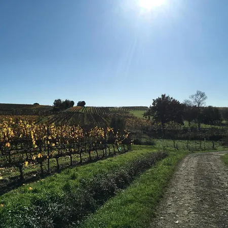 La Maison Haute Nocleg ze śniadaniem