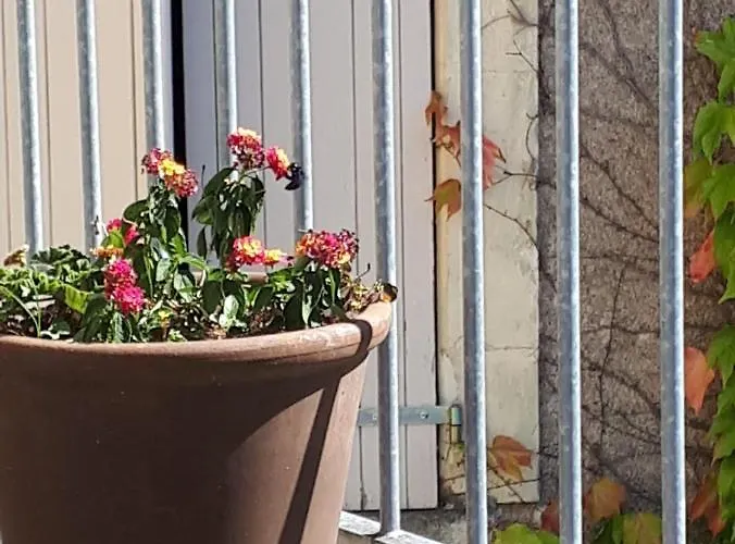 La Maison Haute Bed & Breakfast 4*