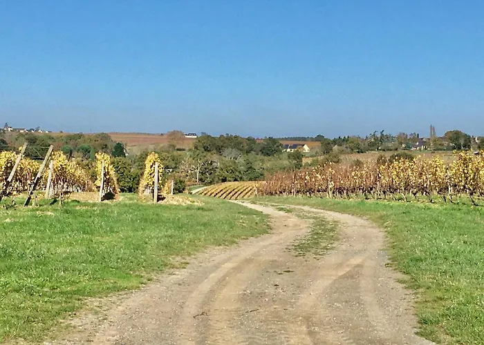 La Maison Haute Bed & Breakfast