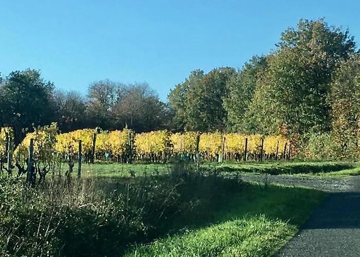 La Maison Haute 4* Tigné