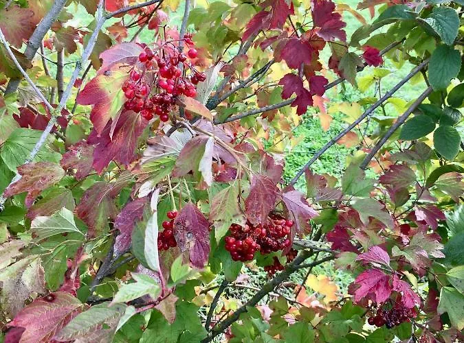 La Maison Haute 4* Tigné