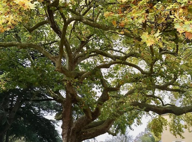 Bed & Breakfast La Maison Haute Tigné