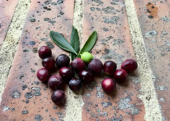 Bed & Breakfast La Maison Haute 4*