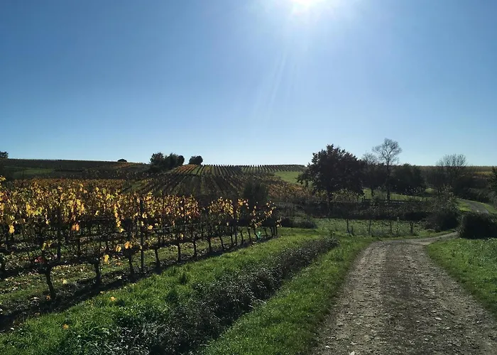 La Maison Haute Bed & Breakfast